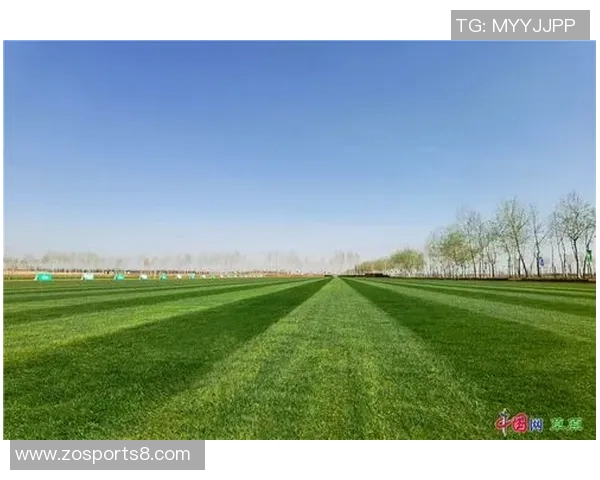 足球人工草的优势与应用探索助力运动场地建设与维护